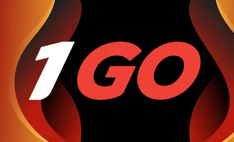 1GO Описание игрового заведения 1GO